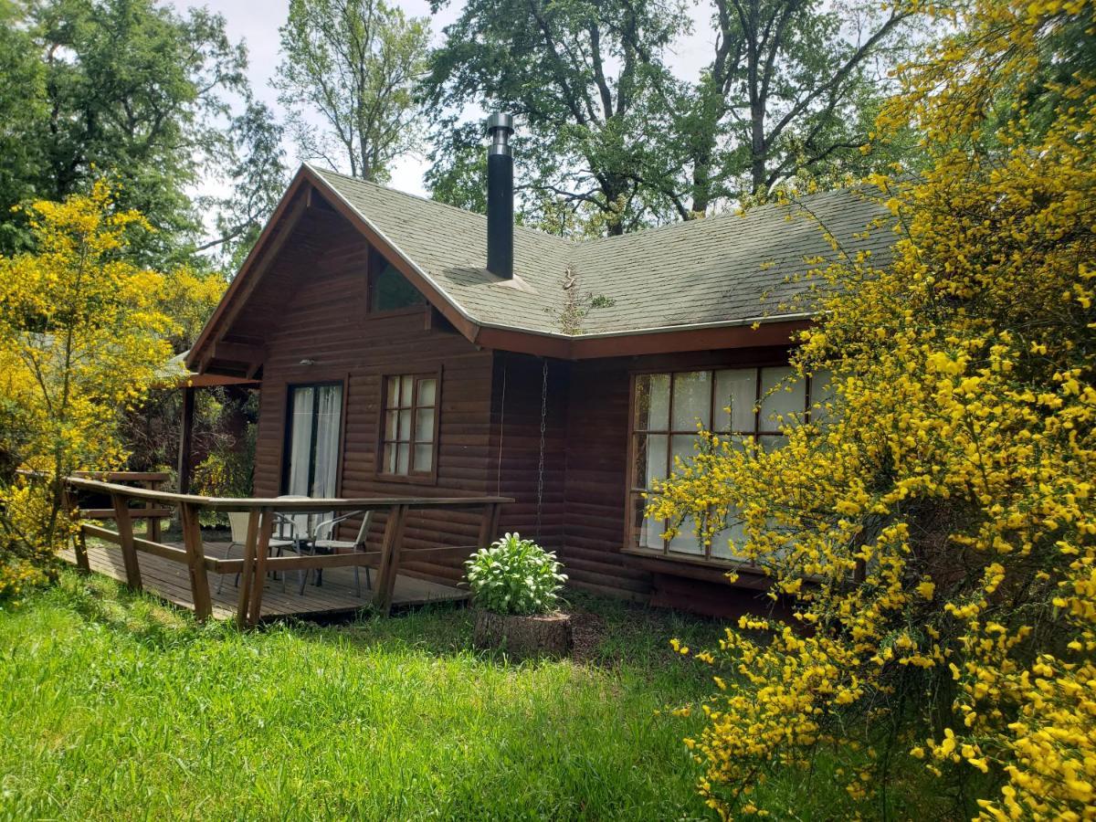 La Casa Del Arbol Villarrica Cabanas-Piscina-Tinajas Exterior foto