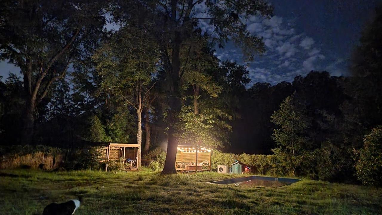 La Casa Del Arbol Villarrica Cabanas-Piscina-Tinajas Exterior foto